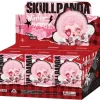 Pop Mart SKULLPANDA Winter Symphony Series Vinyl Face Plush Pendant Sealed Case (6 Blind Box) - US