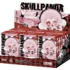 Pop Mart SKULLPANDA Winter Symphony Series Sealed Case (6 Blind Box) - US